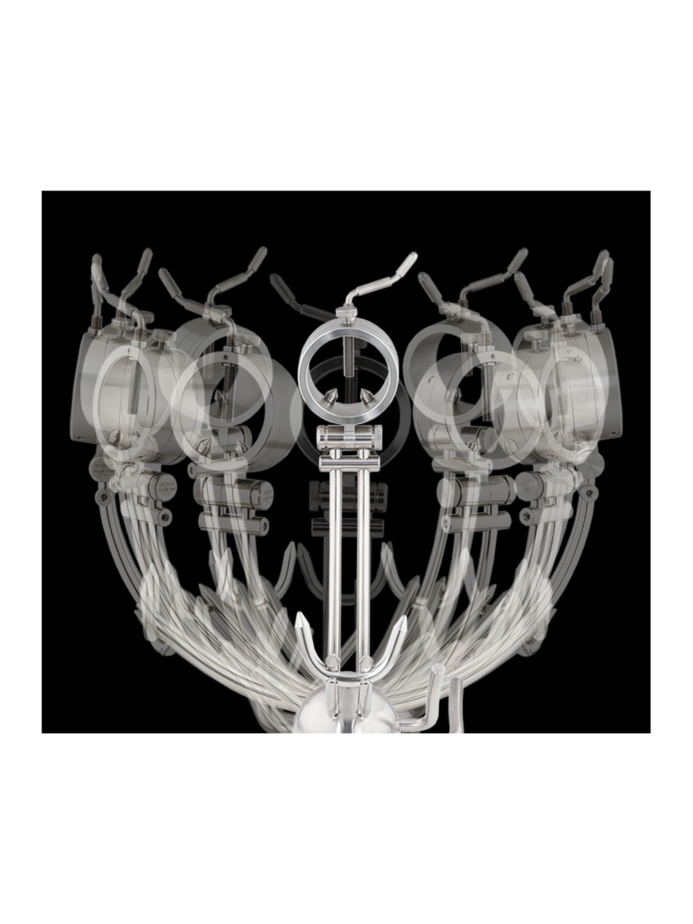 GIRATORIO 360º PRIMUS - Imagen 2