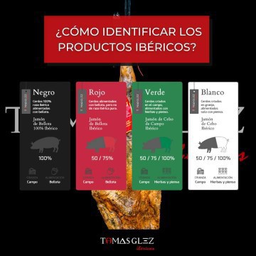 CURSO FORMACION CORTE JAMÓN (Nivel Basico) - Imagen 6